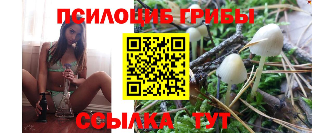 Кохма  Галлюциногенные грибы мицелий  Вход с VPN 